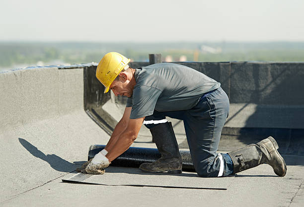 Best Residential Insulation in Brooklyn Park, MD